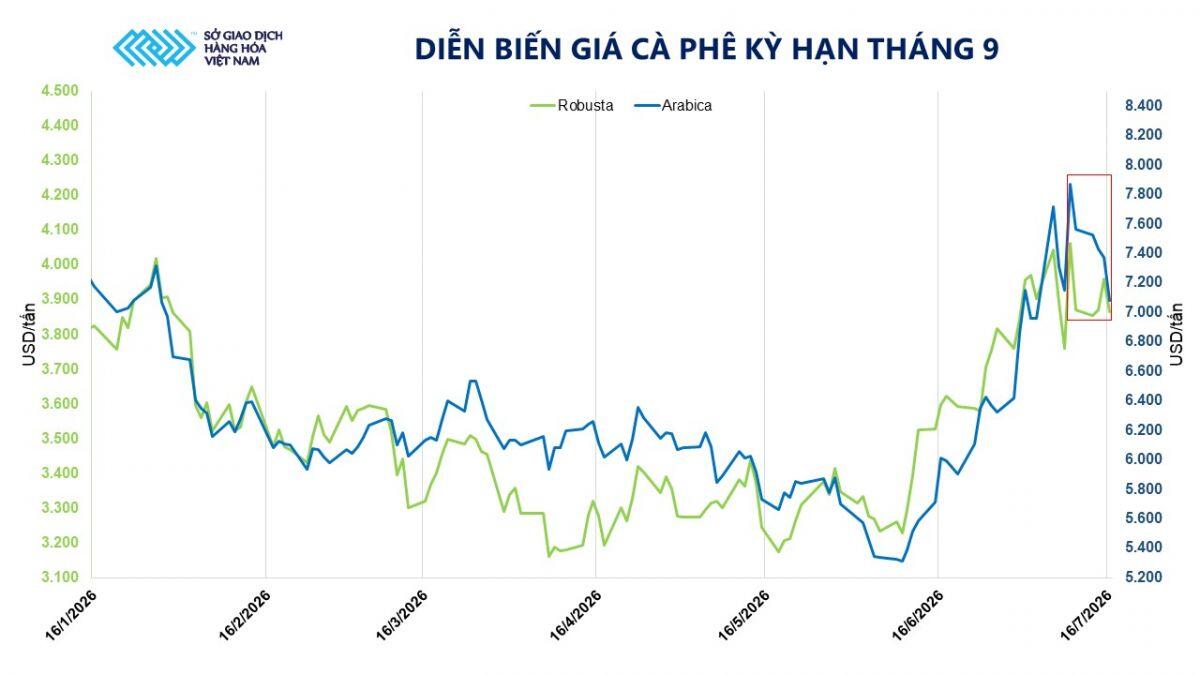 Thị trường hàng hóa: Cà phê trải qua đợt biến động giá mạnh