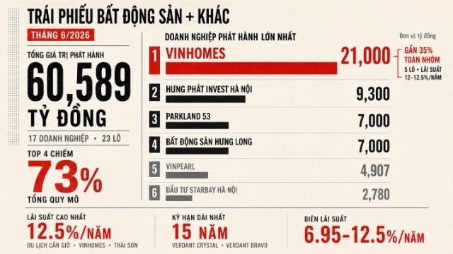 Phát hành trái phiếu riêng lẻ cao nhất một năm