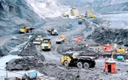 Khách hàng lớn giảm mua than, doanh thu quý 2 của AAH "bốc hơi" 97% kéo theo lỗ bán niên