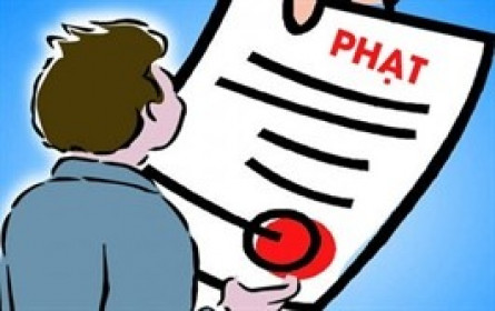 RCD bị xử phạt vi phạm công bố thông tin