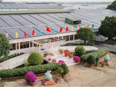 Chi phí ồ ạt tăng khiến lợi nhuận quý 2 của ANV giảm 60%