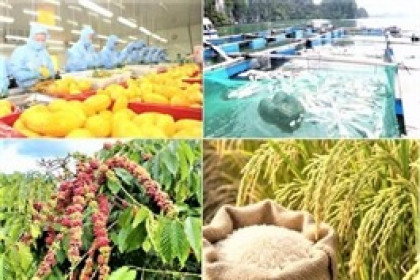 Đẩy mạnh cải cách để xuất khẩu nông lâm thủy sản đạt 74 tỷ USD