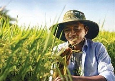DPM đặt mục tiêu doanh thu hơn 1.1 tỷ USD vào năm 2030, đẩy mạnh hóa chất và M&A