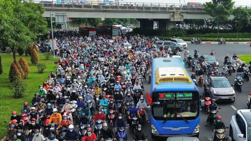 TP HCM nghiên cứu mở làn ưu tiên để xe buýt đúng giờ