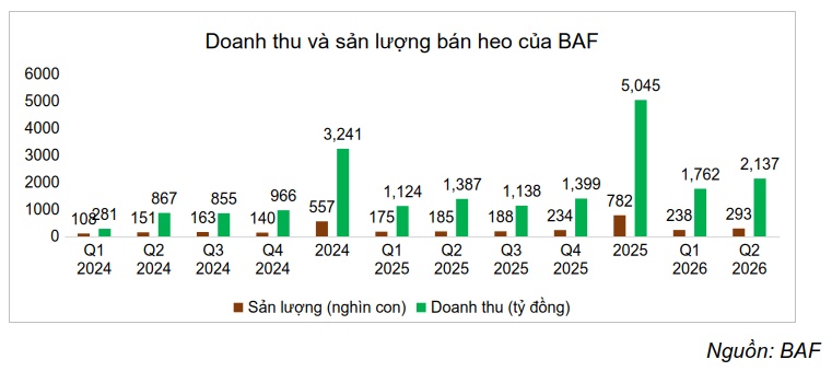 BAF lãi hơn 310 tỷ sau nửa đầu năm, sản lượng heo tăng mạnh