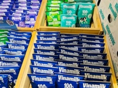 Lợi nhuận ròng quý 2 gần 3.2 ngàn tỷ, Vinamilk giữ vững vị thế tiền mặt ròng hơn 18 ngàn tỷ