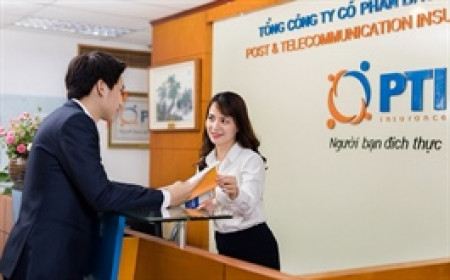 Mảng bảo hiểm chịu áp lực bồi thường, lãi ròng 6 tháng của PTI giảm 16%