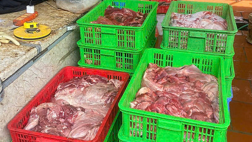 Phát hiện cơ sở kinh doanh thịt heo mắc bệnh dịch tả châu Phi
