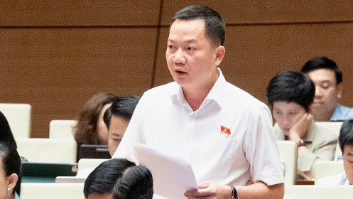Đề xuất kinh doanh kim cương là ngành, nghề có điều kiện như vàng