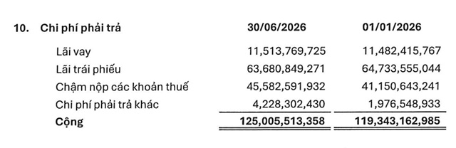 NRC vẫn nợ thuế trăm tỷ, cổ phiếu gần chia đôi sau khi ông Đỗ Thành Nhân xuất hiện