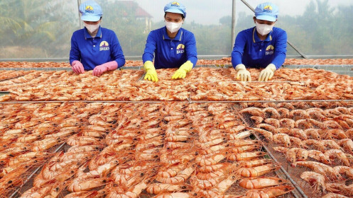 Thuế mới của Mỹ tạo thêm sức ép lên thủy sản Việt