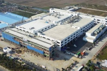 DGT bị phạt 185 triệu đồng vì chậm công bố hàng loạt tài liệu trong giai đoạn 2023-2025
