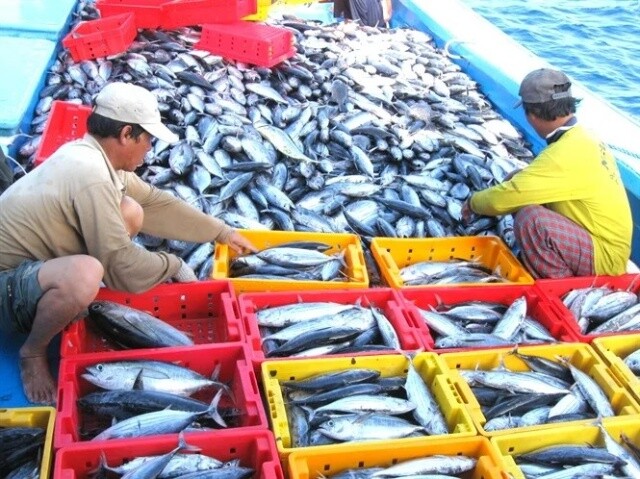 “Chúng ta đang phụ thuộc quá lớn vào các hãng tàu nước ngoài”