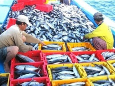 Giải điểm nghẽn giúp xuất khẩu thủy sản vươn tới 100 tỷ USD