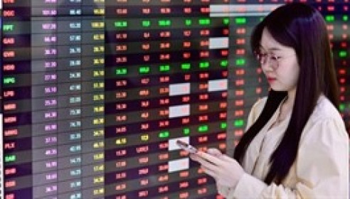 12/08: Đọc gì trước giờ giao dịch chứng khoán?