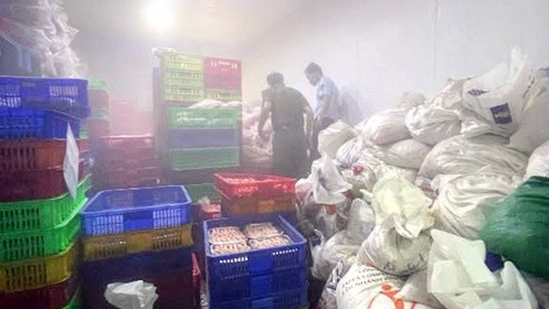 Doanh nghiệp sử dụng gần 7,7 tấn chân gà quá hạn