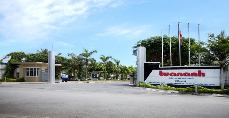 Nhiều năm không chia cổ tức, áp lực nợ của V68 trước ngày lên UPCoM