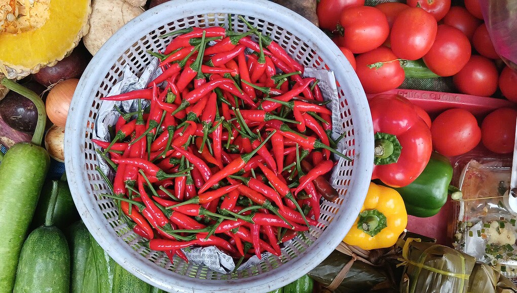Giá tăng mạnh, ớt hiểm xanh đắt hơn thịt gà