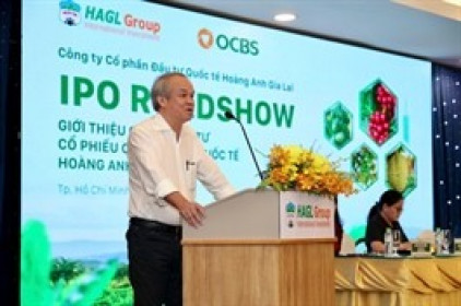 Công ty bầu Đức khởi động deal IPO ngàn tỷ, giá chào bán 60,600 đồng/cp