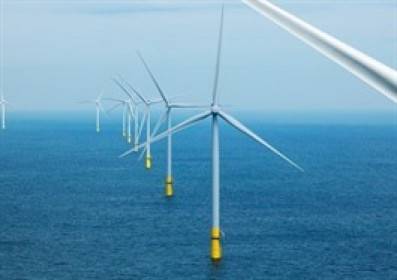 Tiến độ mới về siêu nhà máy điện gió ngoài khơi Cần Giờ 6,000MW do Xuân Cầu Holdings - Trung Nam đề xuất