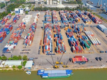 Cảng Đồng Nai sắp chi tiếp 111 tỷ đồng trả cổ tức