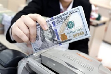 Tuần 17-21/08: USD quốc tế suy yếu, tỷ giá trung tâm tiếp đà tăng