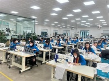 May Nam Định chia cổ tức 2025, Tập đoàn Dệt may Việt Nam dự thu hơn 2 tỷ