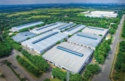 Cao su Phước Hòa chuẩn bị chi cổ tức và thưởng cổ phiếu tổng tỷ lệ 94%