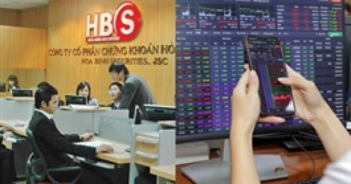 Gần 33 triệu cp HBS nhận án đình chỉ giao dịch