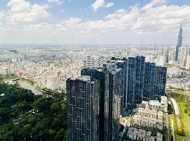 Tân Liên Phát Tân Cảng lỗ 144 tỷ, nợ phải trả vượt 10,600 tỷ