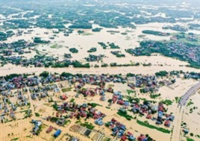 Vì sao “chống bão” luôn thua trong cuộc đua ngàn tỷ USD chống biến đổi khí hậu?