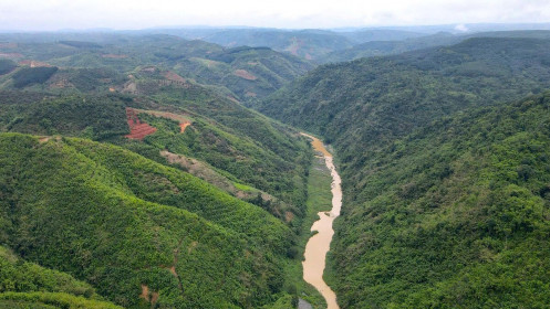 Lâm Đồng làm cầu dây văng 1,2 km vượt sông Đồng Nai