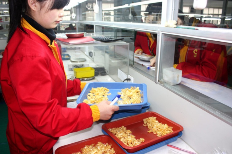 83 tấn vàng hóa đồng mạ: Vụ gian lận 2,9 tỷ USD gây chấn động Trung Quốc