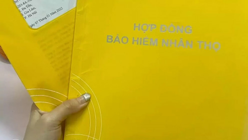 Các hãng bảo hiểm lãi tăng mạnh nhờ hoạt động tài chính