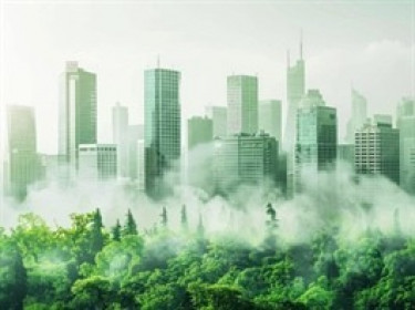 Greenhushing: Vì sao nhiều tập đoàn lớn chọn im lặng thay vì khoe thành tích xanh?
