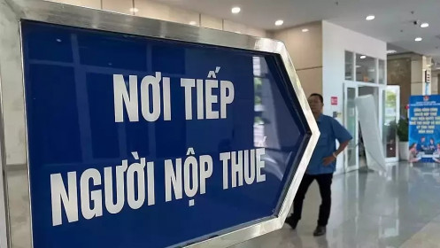 Giải thể công ty không có doanh thu phải nộp bao nhiêu phí, phạt?