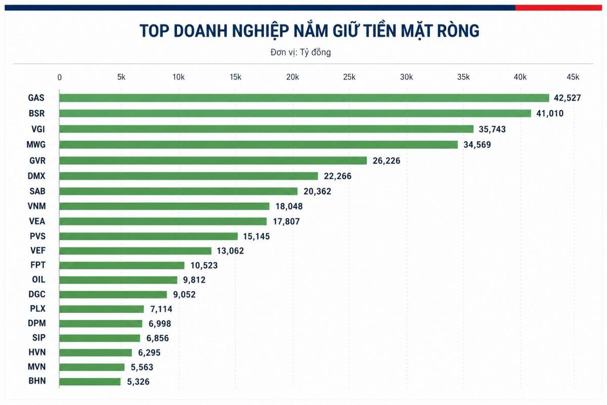 Ai đang là “vua tiền mặt” trên sàn chứng Việt?