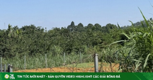 'Đánh bắt xa bờ', nhà đầu tư Hà Nội mắc kẹt với mảnh đất hơn 2 tỷ đồng