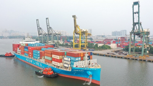 Gelex thoái toàn bộ vốn khỏi 'ông lớn' ngành tàu biển