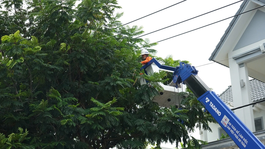 EVNHCMC triển khai phương án bảo đảm an toàn điện mùa mưa bão