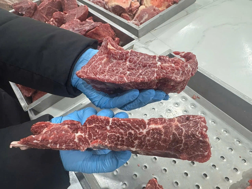 Bò H’Mông có gì để thành thịt bò cao cấp như Kobe, Wagyu?