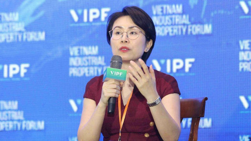 Thủ tục chậm, năng suất thấp hạn chế sức hút FDI của Việt Nam