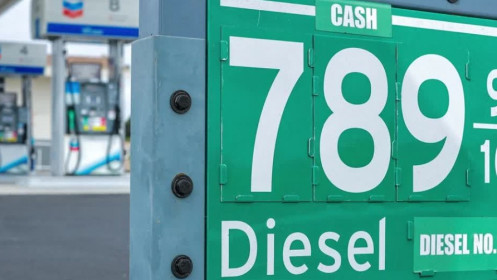 G7 sẽ xả kho 100 triệu thùng dầu thô, diesel