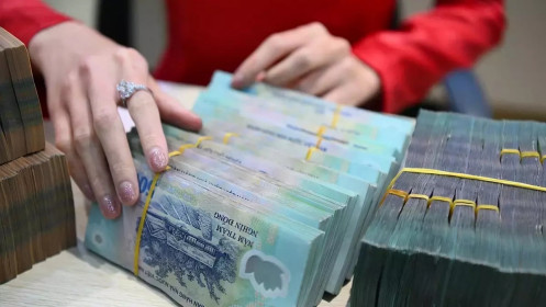 'Muốn vay xanh, doanh nghiệp vẫn phải đủ dòng tiền trả nợ'