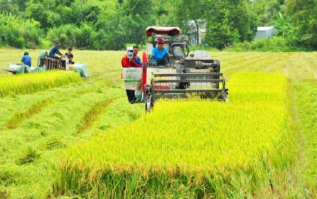 Nhà sản xuất phân bón miền Tây tính lên HOSE ngay quý 4