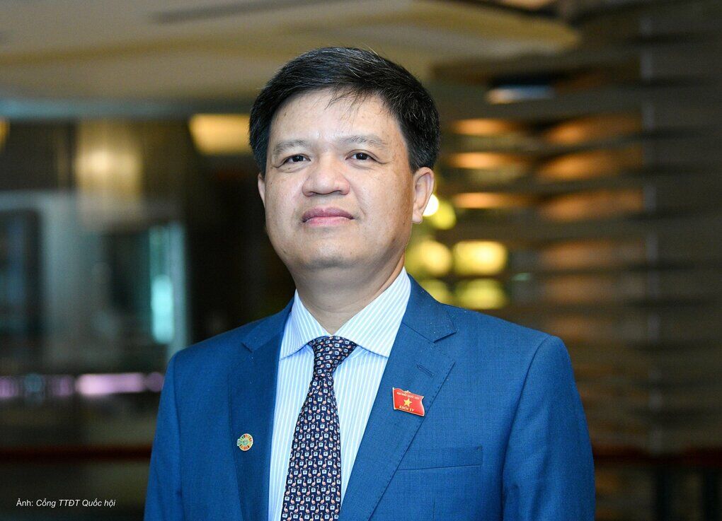 “Chuyển đổi cây hoa sữa không thể chỉ dựa vào cảm xúc”