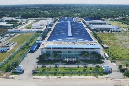 'Ông lớn' ngành dược báo lãi thấp kỷ lục 15 năm
