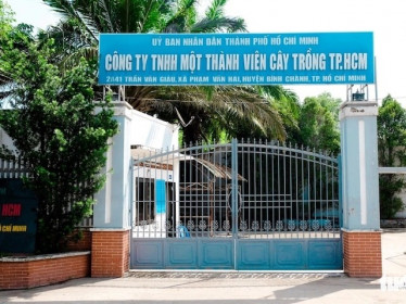 Công ty Cây trồng TPHCM trả lại gần 2,000 m² đất thuê từ năm 2002 trên Tỉnh lộ 10