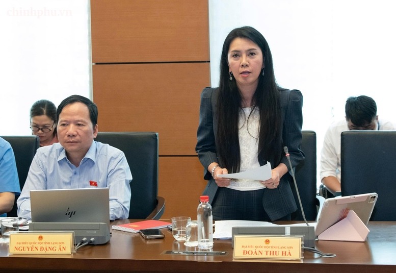 Các đại biểu Quốc hội đề nghị làm rõ đối tượng áp thuế suất 0.2% đối với đất bỏ hoang