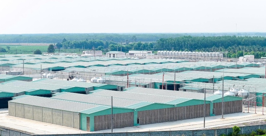 BAF lãi ròng 331 tỷ sau 9 tháng, doanh thu quý 3 tăng mạnh